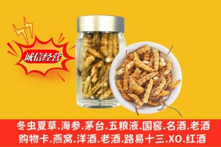 济南历城区回收散虫草