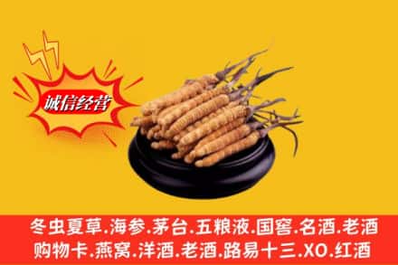 济南历城区名酒回收冬虫夏草.jpg